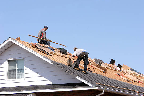 Best Gutter Installation and Repair  in Mohave Valley, AZ